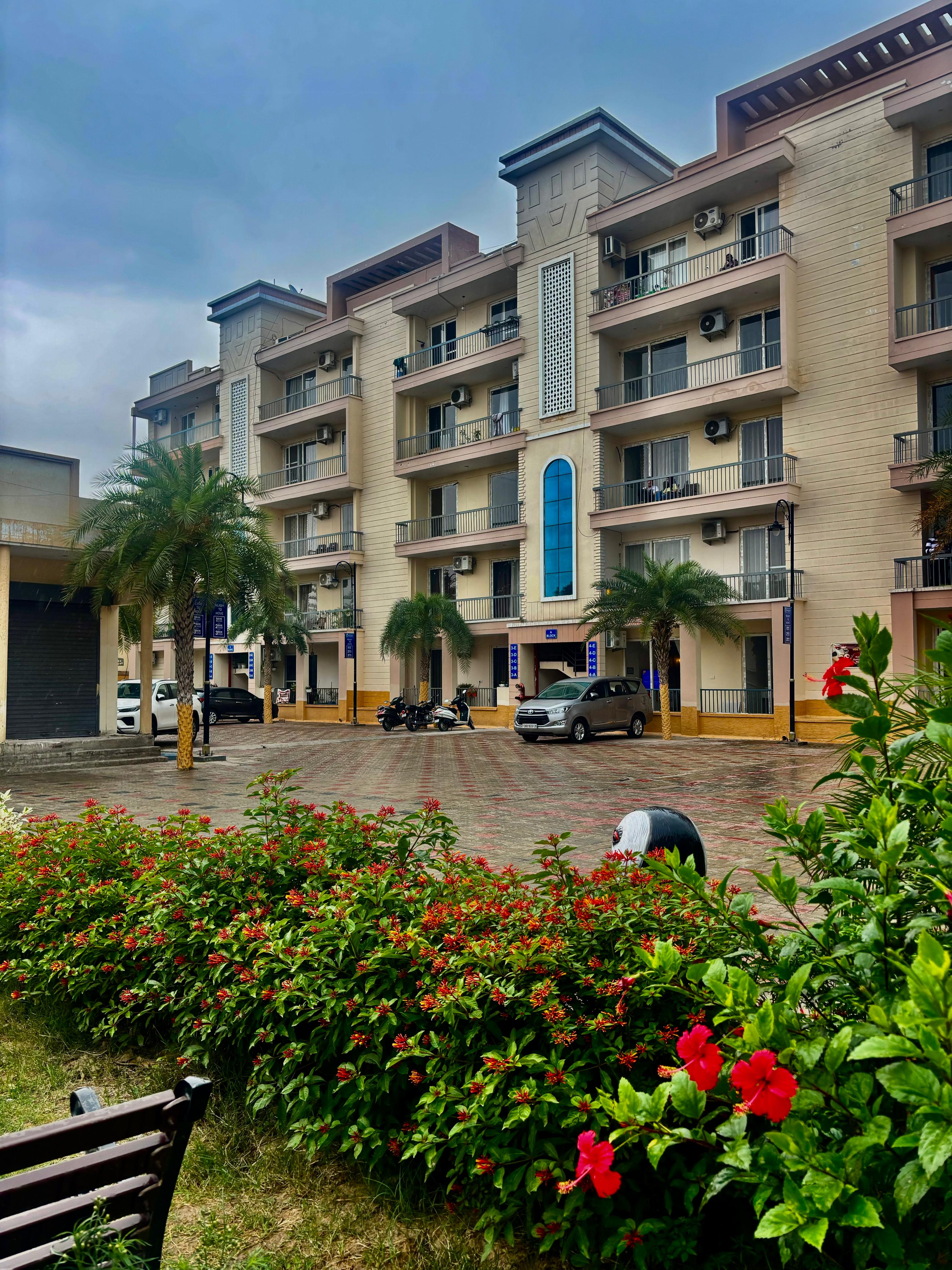 Arcadia Project - Original Lifestyle